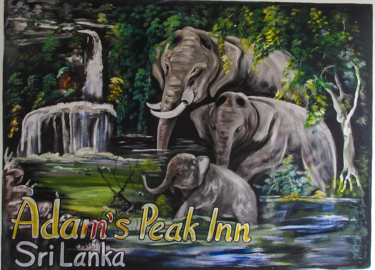 Adams Peak Inn Nallathanniya Buitenkant foto